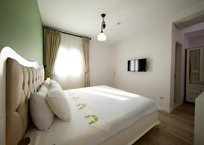 Gardenya Buti̇k Отель 3*
