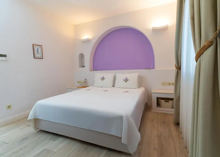 Отель Gardenya Buti̇k 3*